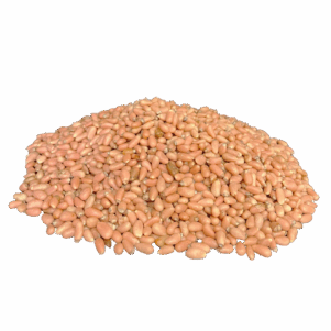 Piñón Rosado