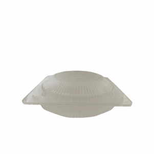 Concha Transparente